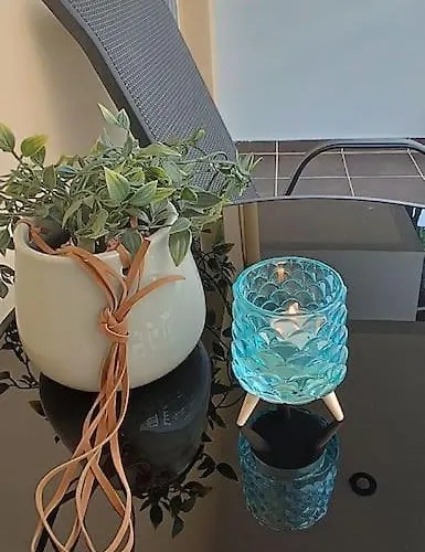 Greenhouse 파트라